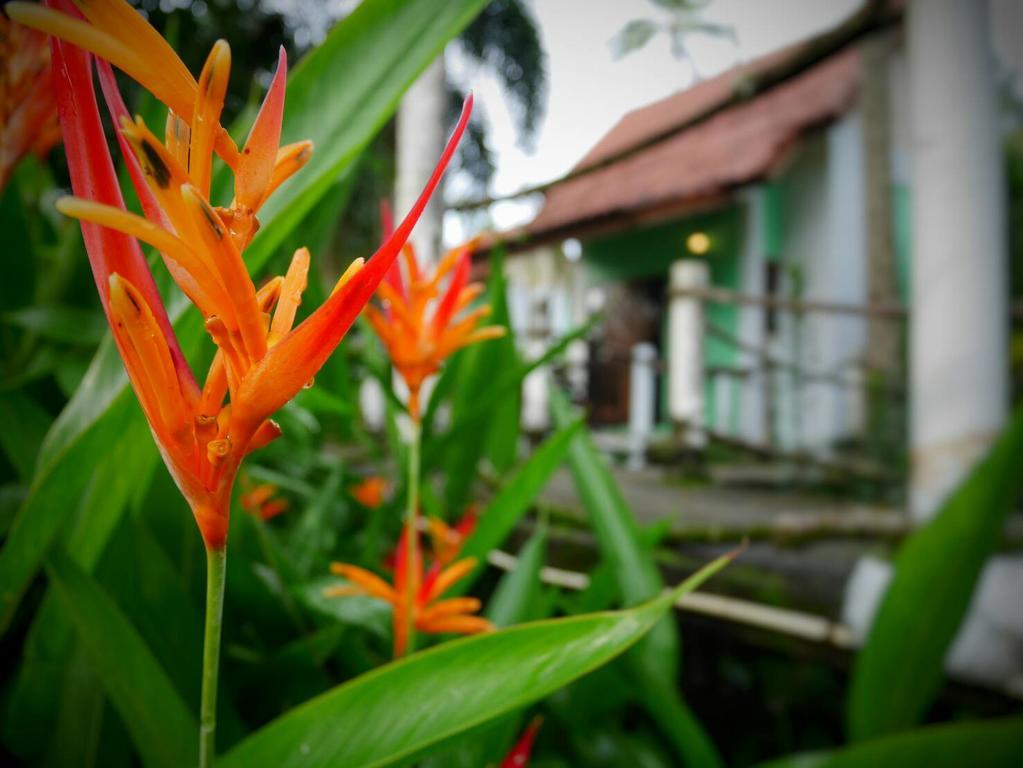 Arcadian Resort Ao Nang Zewnętrze zdjęcie